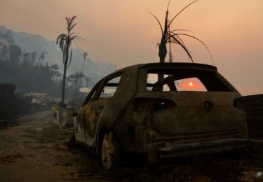 Фото 19 — Найбільш руйнівні пожежі в історії Лос-Анджелеса знищили 10 000 будівель, загинули 10 людей: які знаменитості втратили маєтки (ФОТО, ВІДЕО)