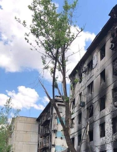 Фото 4 — Россияне пытались перерезать автодорогу Бахмут - Лисичанск, - глава Луганской ОВА