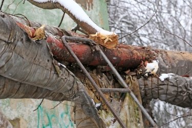 Фото 8 — На юге Украины из-за снега закрыли дороги, фуры не пускают даже в Киев (ФОТО, ВИДЕО)