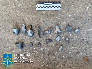 Фото 6 — Россияне снова ударили по Ковшаровке: есть погибшие (ФОТО)