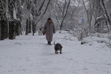 Фото 46 — На юге Украины из-за снега закрыли дороги, фуры не пускают даже в Киев (ФОТО, ВИДЕО)