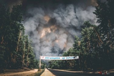 Фото 4 — В Луганской области третий день бушуют лесные пожары: погибло 5 человек (ФОТО, ВИДЕО)