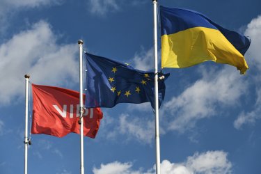 Фото 3 — VIDI: звичайна історія у надзвичайний час
