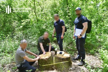 Фото 4 — В нацпарку "Куяльницький" навесні вирубили дерев на 80 мільйонів: підозру отримав директор лісгоспу (ФОТО)