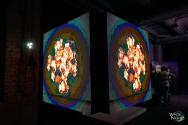 Фото 27 — В этом году было как никогда много зарубежных туристов — Роман Тугашев, "Белые ночи"