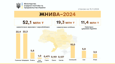 Фото 2 — Жнива-2024: українські аграрії намолотили понад 71 млн тонн врожаю