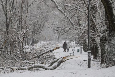 Фото 47 — На юге Украины из-за снега закрыли дороги, фуры не пускают даже в Киев (ФОТО, ВИДЕО)