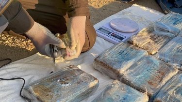 Фото 8 — В Одессе поймали трех членов Ндрангеты: пытались провезти 60 кг кокаина среди бананов