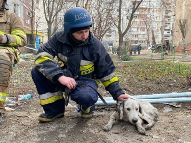 обстрел запорожье 22 марта 2023