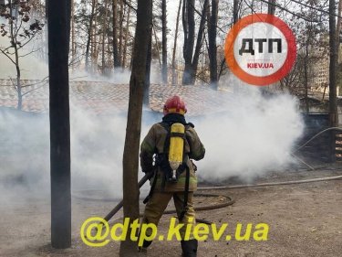 Фото 3 — Неизвестные сожгли контактный зоопарк в киевском парке "Совки" (ФОТО, ВИДЕО)