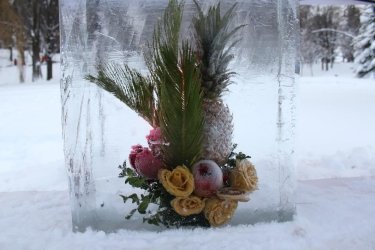 Фото 3 — Выставка цветов в ледяных глыбах и снежных скульптур открылась на Певческом поле