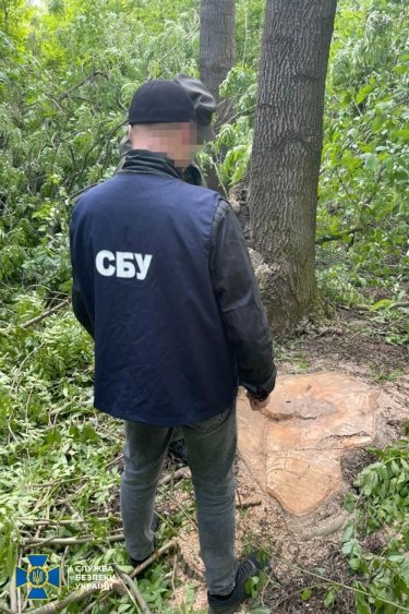 Фото 3 — СБУ поймала пять человек на вырубке леса в нацпарке "Подольские Товтры" (ФОТО)
