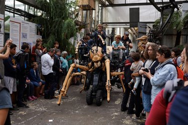 Фото 58 — Що, крім Парижа: бюджетна подорож французькою провінцією