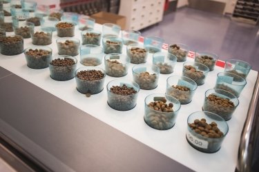 Фото 10 — Королевский крокет: как производят корм для домашних животных