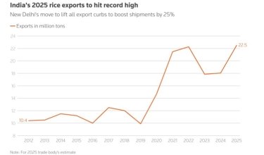 Фото 3 — Ціни на рис впали до мінімуму, але надлишок з Індії стримує ринок