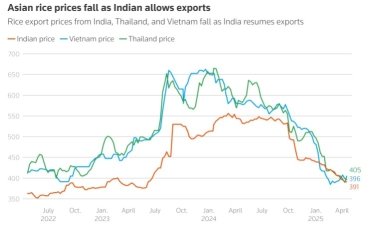 Фото 2 — Ціни на рис впали до мінімуму, але надлишок з Індії стримує ринок