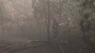 Фото 2 — Пожары в Луганской области: к вечеру 9 июля огонь удалось потушить (ФОТО)