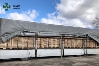 Фото 3 — СБУ прикрыла канал нелегального экспорта древесины в ЕС (ФОТО, ВИДЕО)