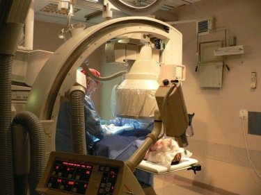 Фото 4 — В какой больнице Польши Луценко будут делать операцию (ФОТО)