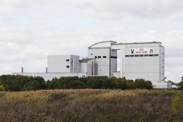 Фото 2 — Королевский крокет: как производят корм для домашних животных