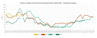 Фото 2 — Огурцы продолжают дорожать: сколько стоит килограмм