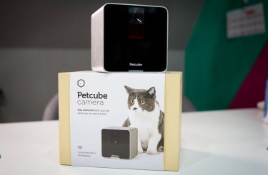 Фото 2 — Обзор Petcube: игрушка не для животных, а для людей