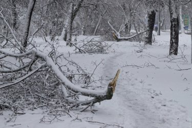 Фото 44 — На юге Украины из-за снега закрыли дороги, фуры не пускают даже в Киев (ФОТО, ВИДЕО)
