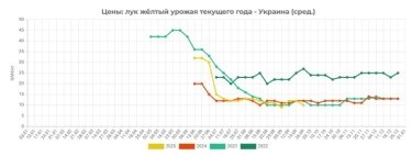 Фото 2 — Ріпчаста цибуля дешевшає: виробники відзначають слабкий попит