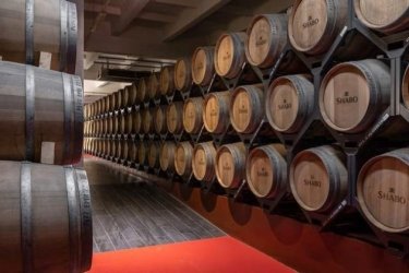 Фото 3 — Украина впервые завоевала золото Decanter: вина SHABO среди лидеров мировых производителей