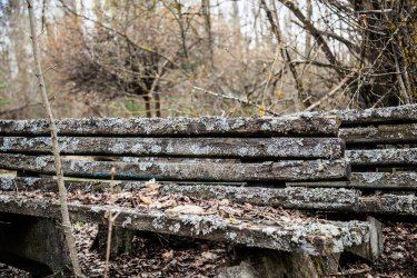 Фото 33 — Припять, Рыжий лес, Дуга-1: какие объекты Чернобыльской зоны готовят для ЮНЕСКО — фото