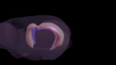 Фото 12 — Лучшей научной иллюстрацией стало фото вируса ВИЧ (ФОТО)