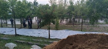 Фото 9 — В Николаеве после подрыва Каховской ГЭС продолжает подниматься уровень Южного Буга: какова ситуация с берегами (ФОТО)