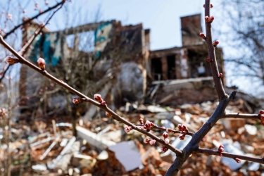 Фото 2 — ВСУ освободили Рогань от российских захватчиков
