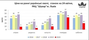 Фото 3 — Из-за закрытия рынков цены на ранние овощи рухнули до рекордного минимума