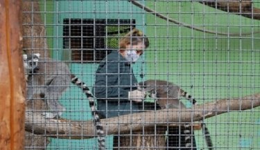 Фото 6 — В Киеве спустя три года вновь заработал зоопарк (ФОТО, ВИДЕО)