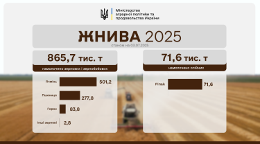 Фото 2 — Жатва 2025: украинские аграрии намолотили почти миллион тонн зерна нового урожая