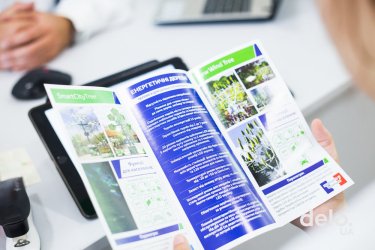 Фото 5 — Энерогодерево Jerelo: первые шаги на новом рынке экоинфраструктуры в Украине