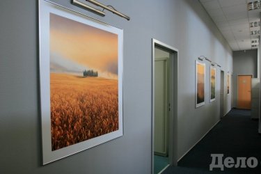 Фото 5 — В Ernst&Young заботятся о молодых мамах, а также трудоустраивают ежегодно 90 выпускников