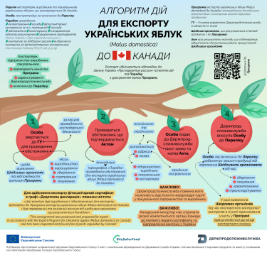 Фото 2 — Українські яблука для Канади: затверджено програми експорту