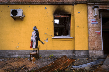 Фото 5 — Бенксі підтвердив створення семи муралів у Києві та області