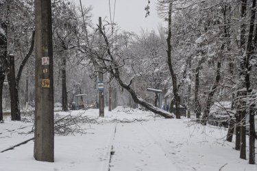 Фото 36 — На юге Украины из-за снега закрыли дороги, фуры не пускают даже в Киев (ФОТО, ВИДЕО)