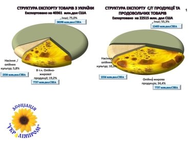 Фото 2 — Україна скоротить виробництво соняшникової олії на 10% цього маркетингового року