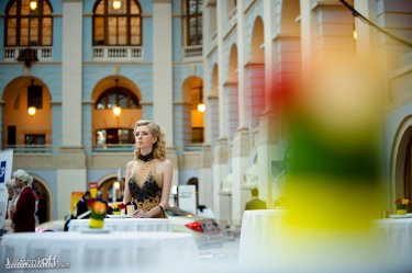 Фото 18 — На первый Пушкинский бал в Киеве ожидают бизнесменов из "Газпрома"