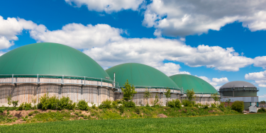 Фото 3 — ESG-стандарти для біоенергетичних проєктів: вимоги інвесторів