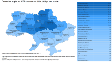 Фото 4 — Більш як половина поголів’я корів в Україні утримується у восьми областях: де найбільше