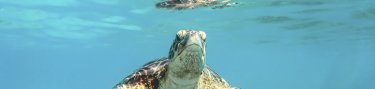 Фото 7 — Куда поехать фрилансеру: девять стран, где принимают цифровых кочевников