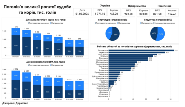 поголів’я великої рогатої худоби, інфографіка