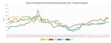 Фото 2 — Ціни на тепличні помідори в Україні знижуються: у чому причина