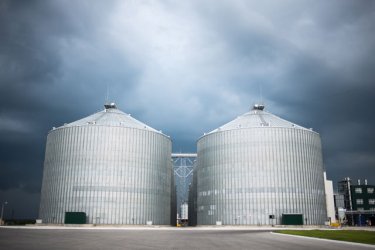Фото 4 — Как производят курятину на крупнейшем птицекомплексе "Мироновского хлебопродукта" (ФОТО)