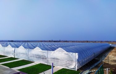 Фото 6 — Під Києвом продають величезну полуничну ферму з власними теплицями за $11 млн